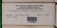 Image Associated With the Occurence